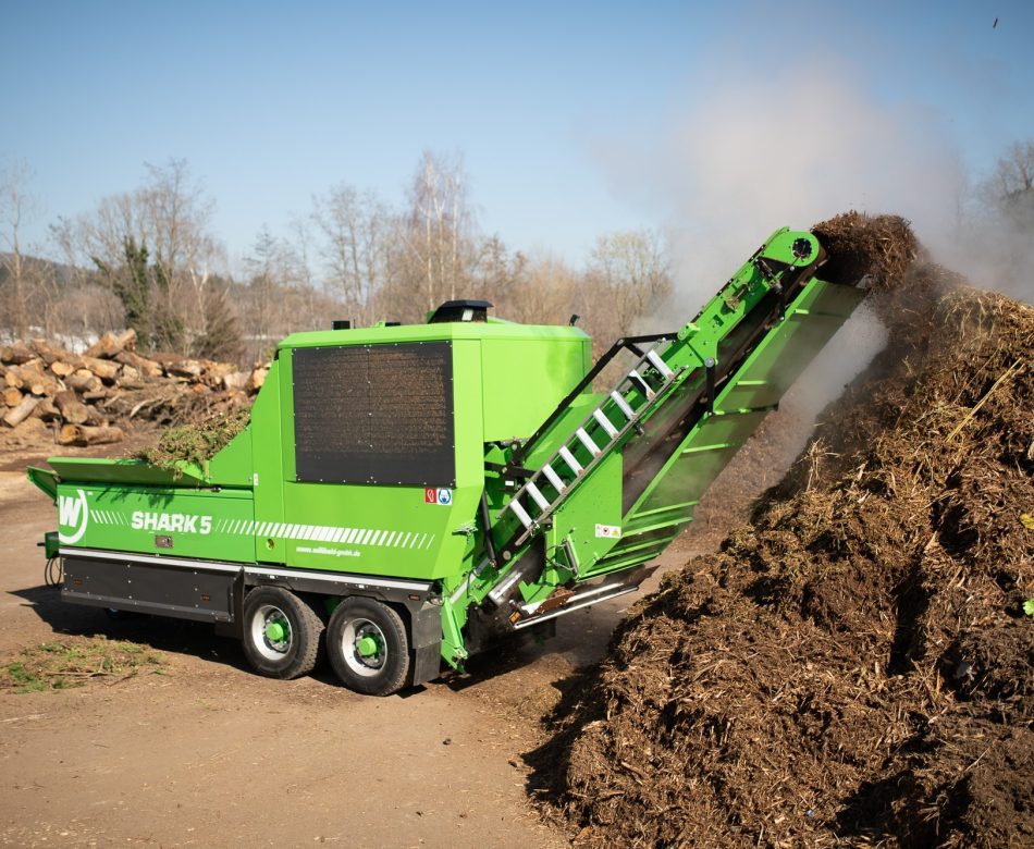 Shark5-klein-5181-gespiegelt-bildbearbeitet