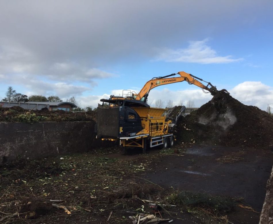 WhatsApp Image 2017-10-31 at 13.56.30