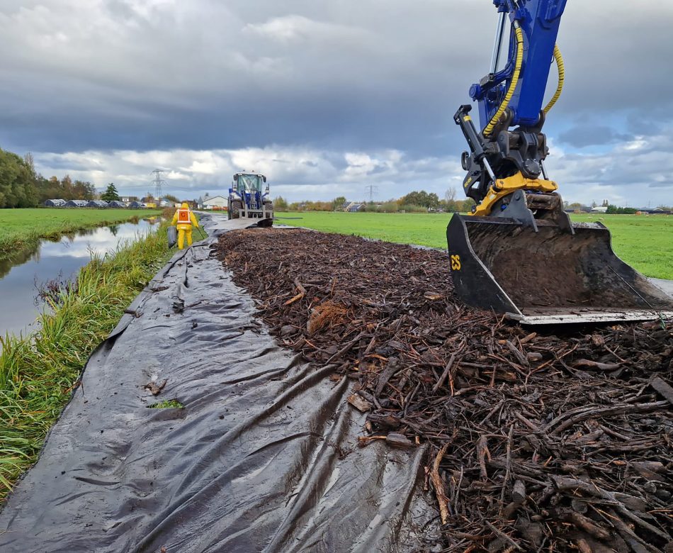 WhatsApp Image 2023-11-11 at 11.40.57 (1)